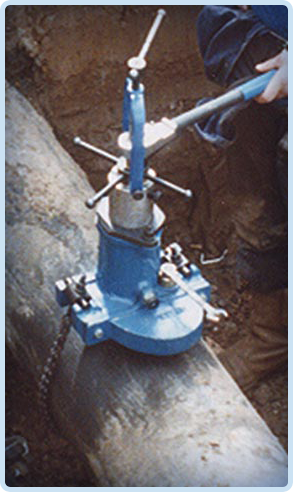 Quadrina